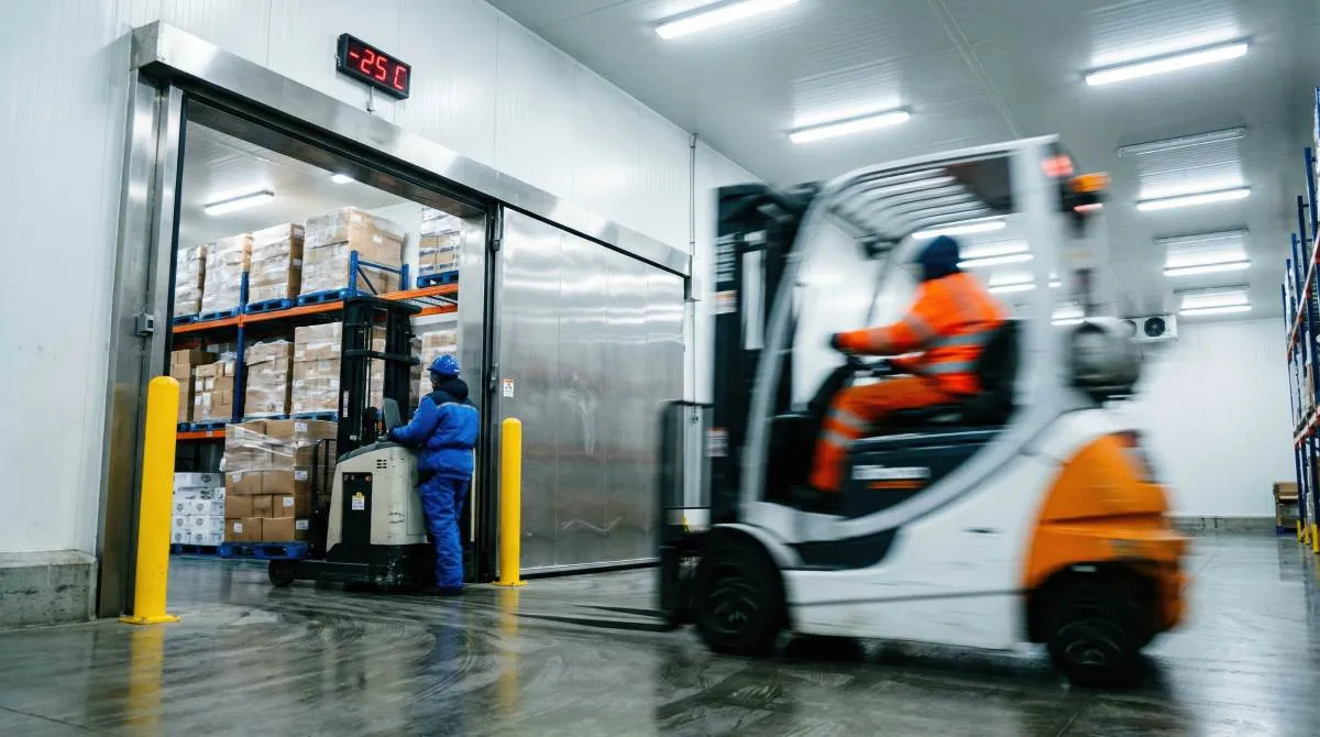 Cold Store Forklift